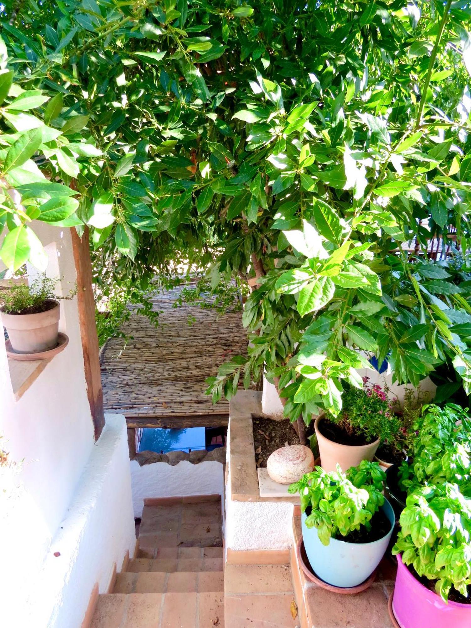 El Encanto موناتْشيل المظهر الخارجي الصورة