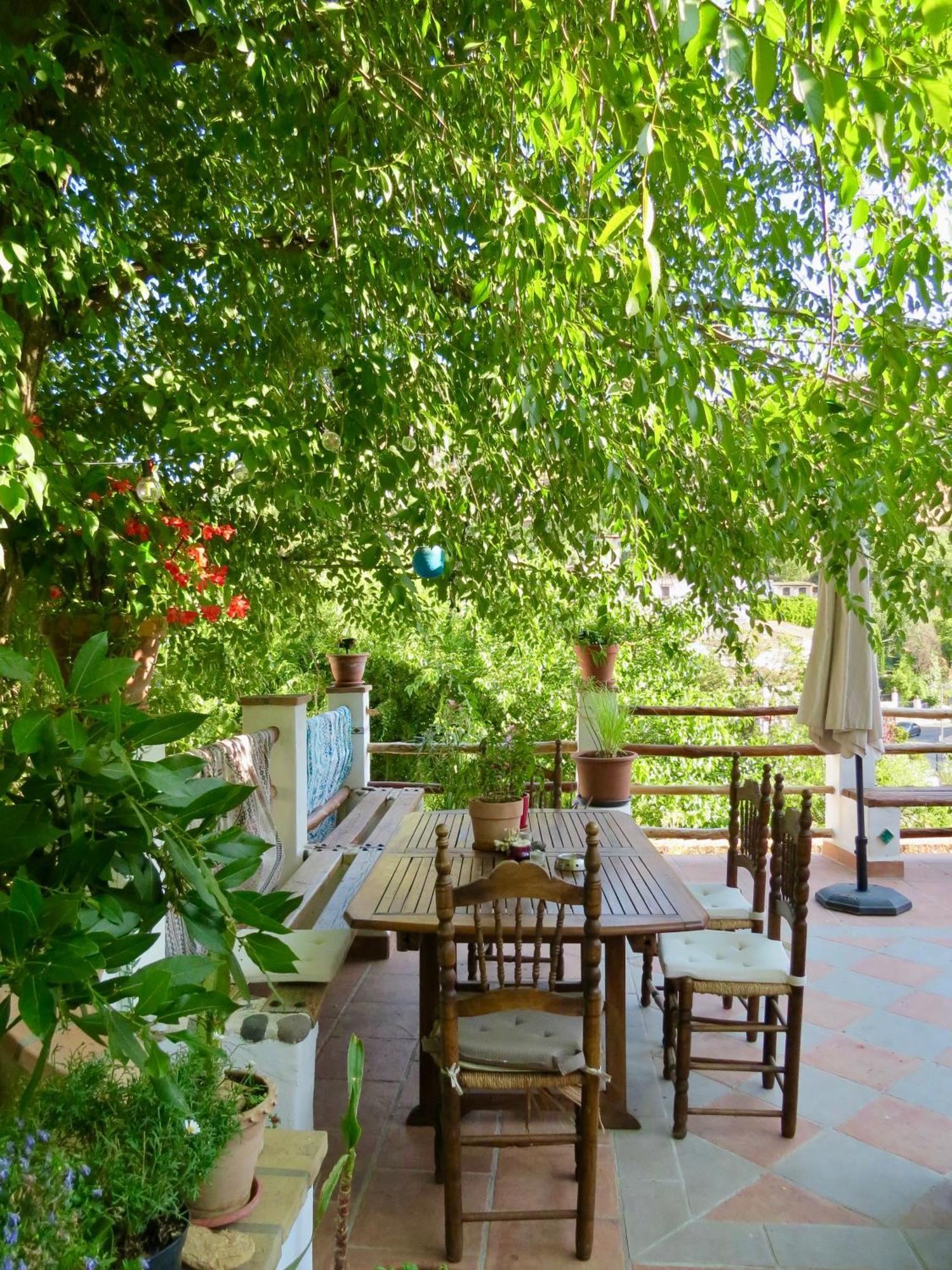 El Encanto موناتْشيل المظهر الخارجي الصورة